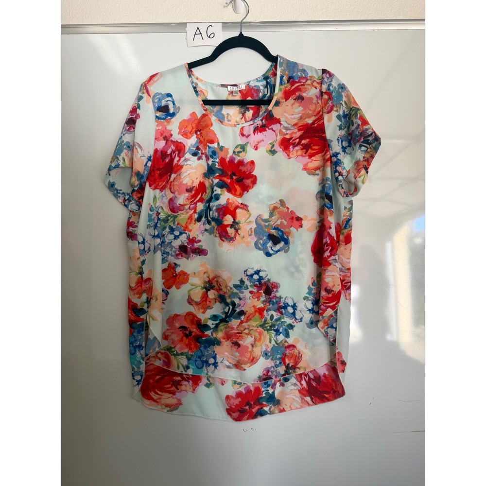Spense Womens Floral Print High Low Tulip Hem Blouse Mint Red Blue XL